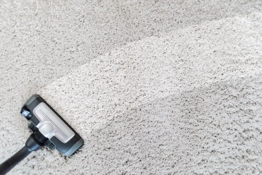 vacuum-1024x683.webp
