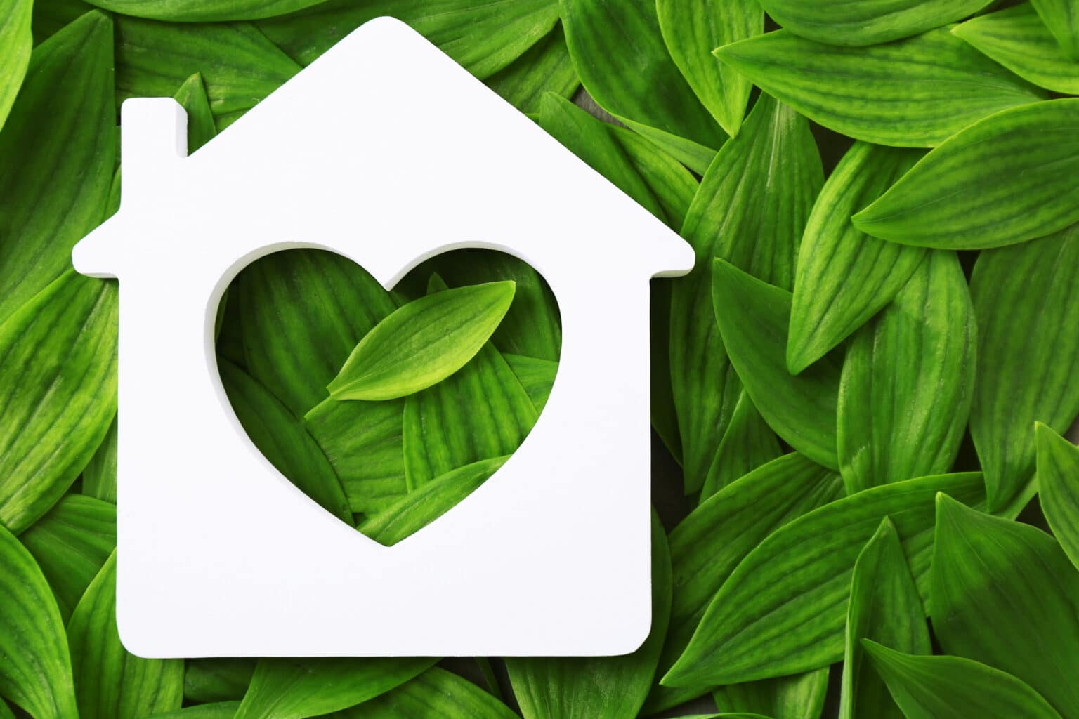 View of 21 Sustainable Building Materials to Consider for Your Home